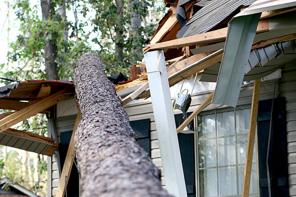 Storm  Damage